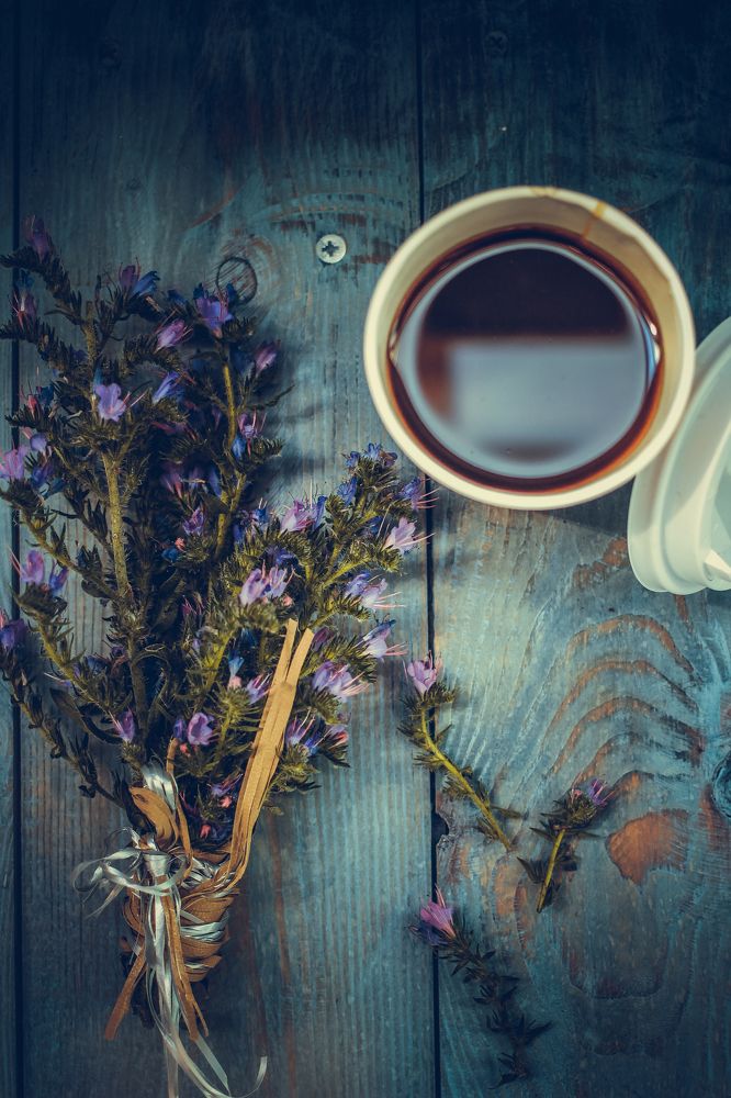 Вдохновлённая творчеством