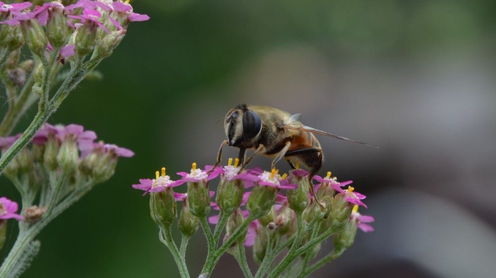 Рабочие будни