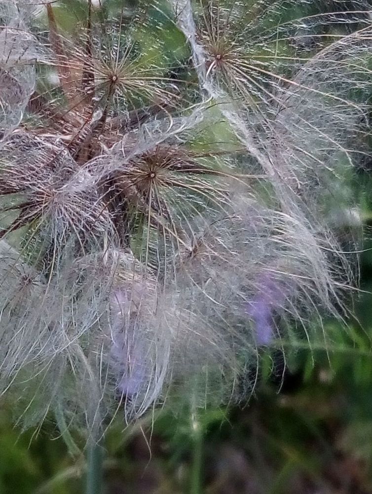 Невесомость