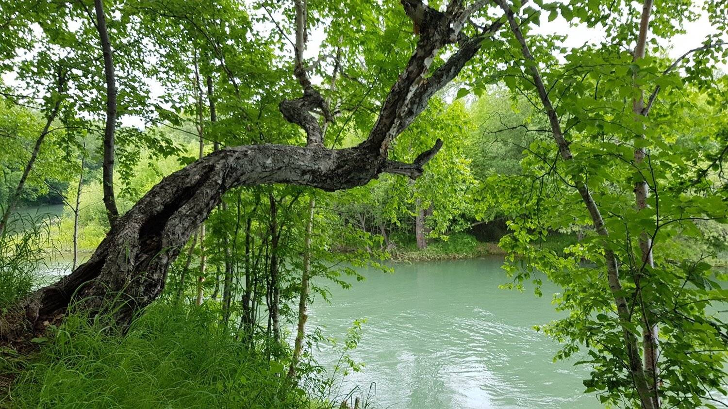 Камчатка