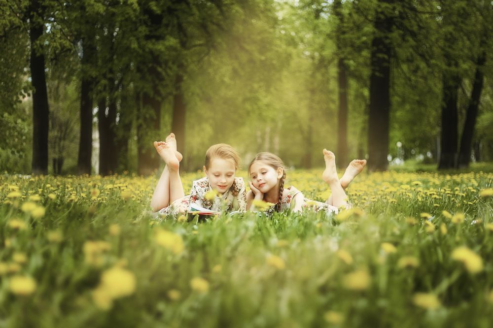 Одуванчиковое поле