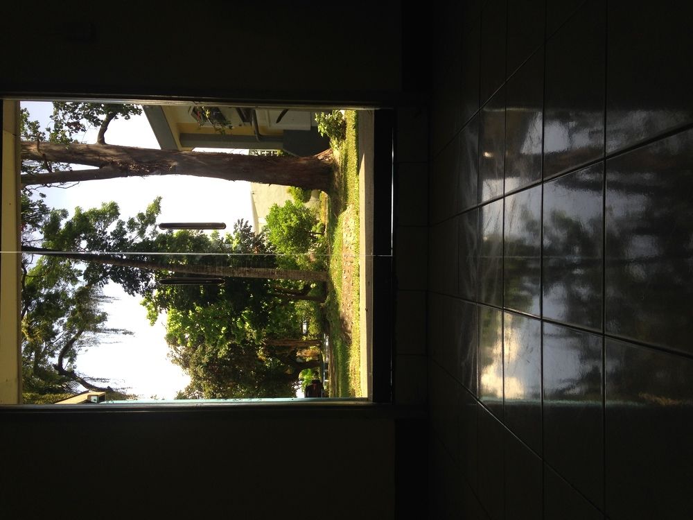 To escape from reality