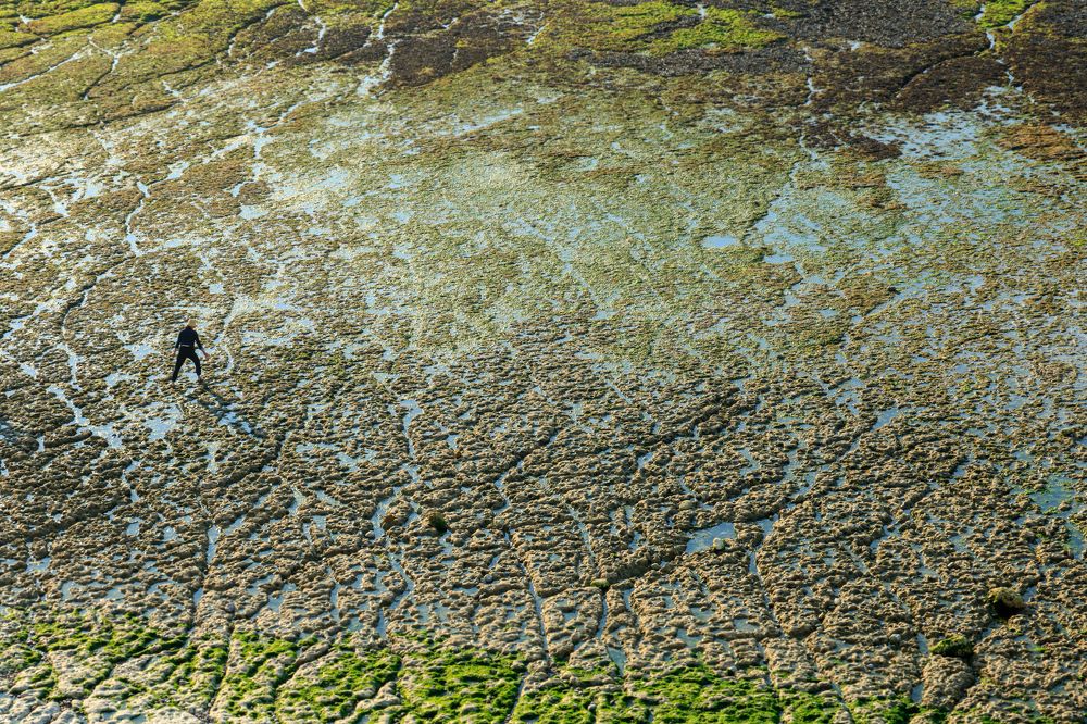 Other planet on Earth