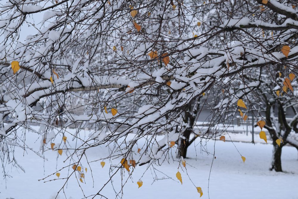 Уходит осень