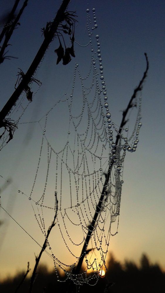 Теплый рассвет