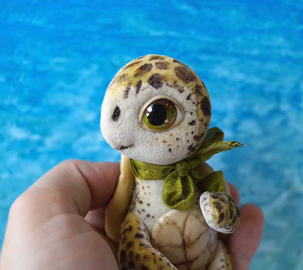 Маленькая черепашка