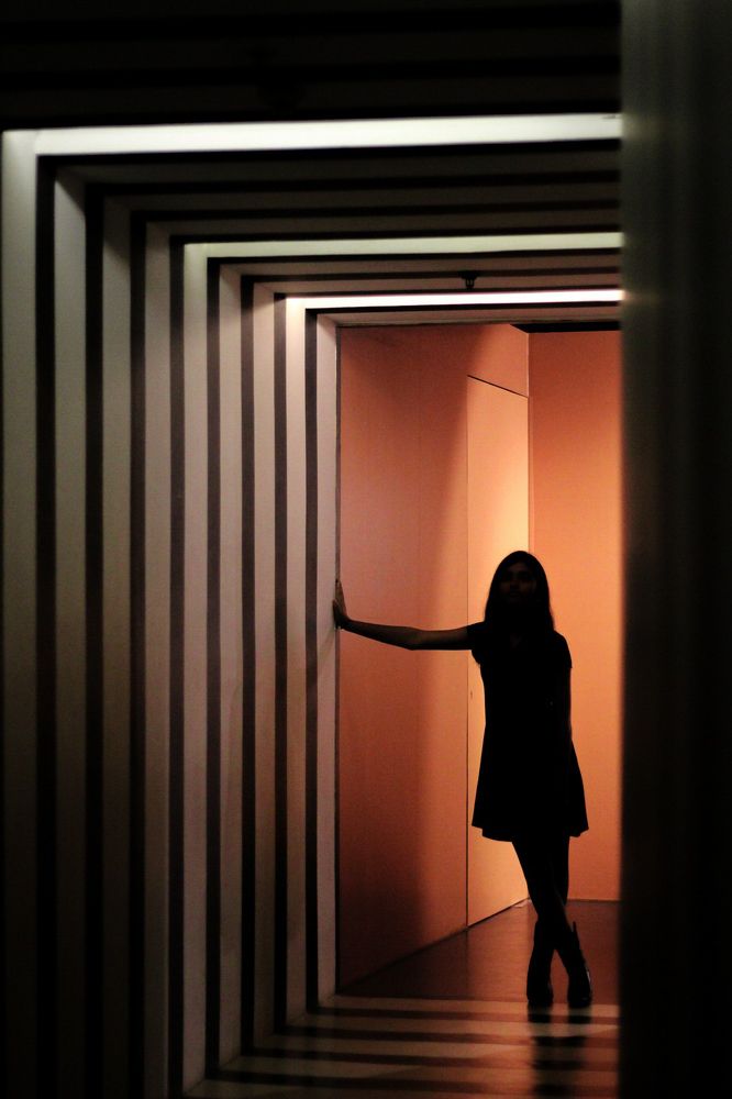 A Game of Shadows