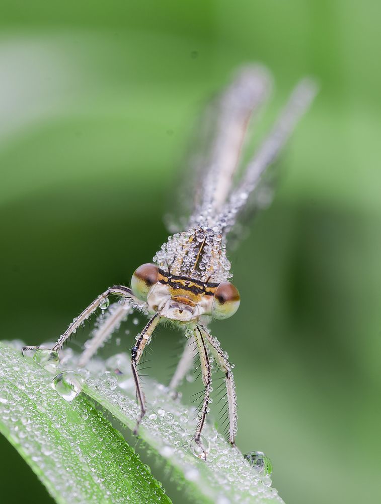 Photograph by Сергей Троицкий