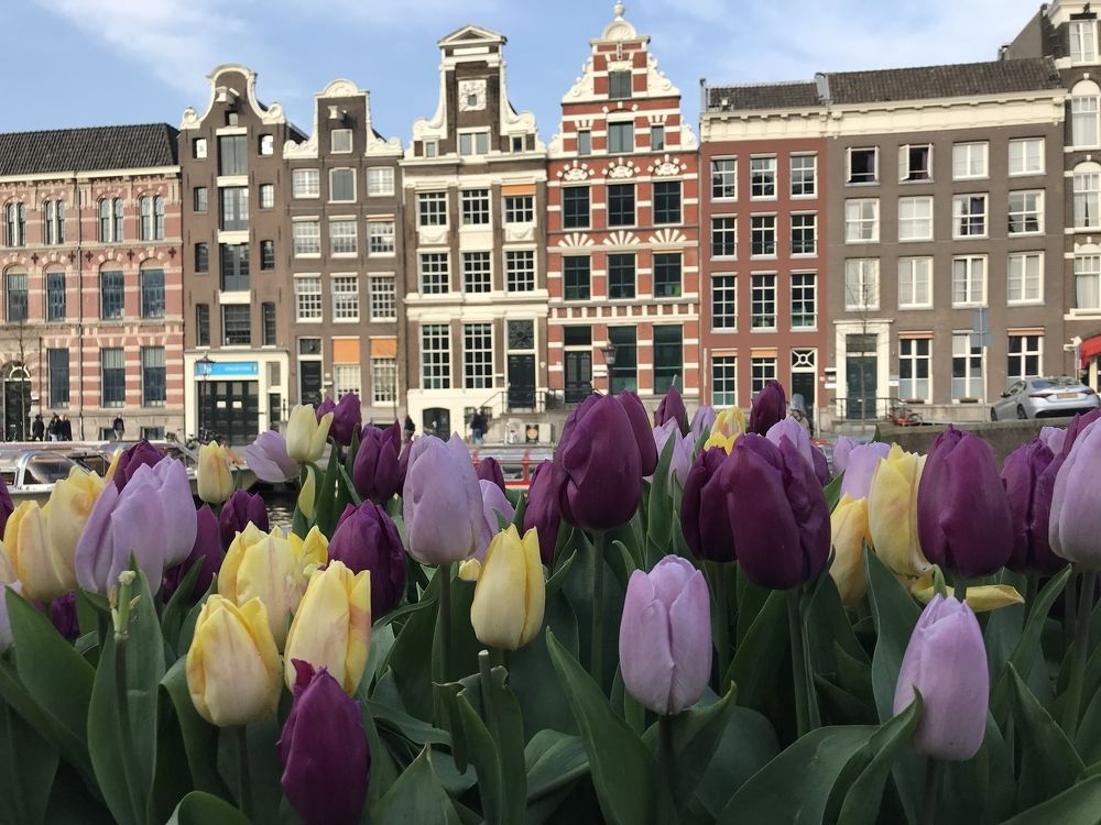 Photograph by Яна Лугинина