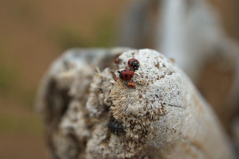 озеро Байкал.