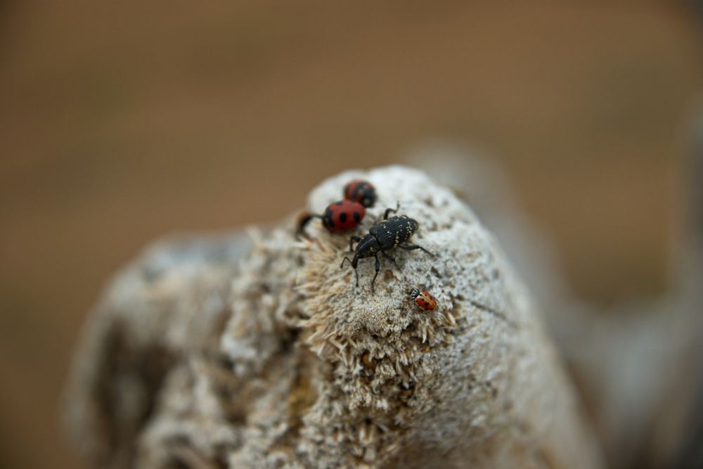 озеро Байкал.