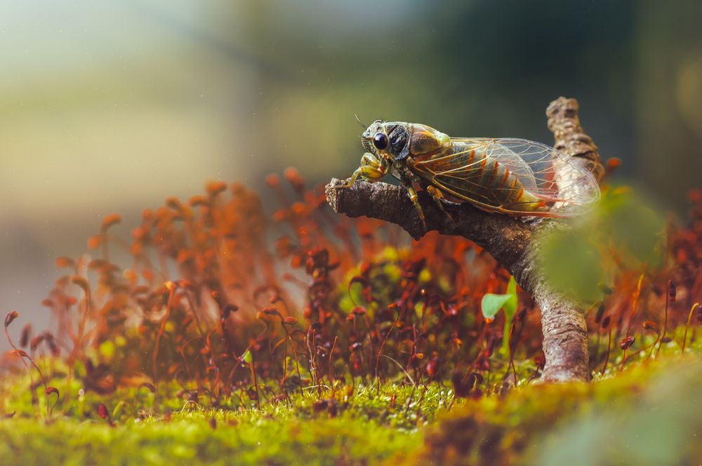 Photograph by Тараненко Анжелика