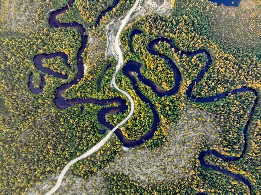 Рисунки природы