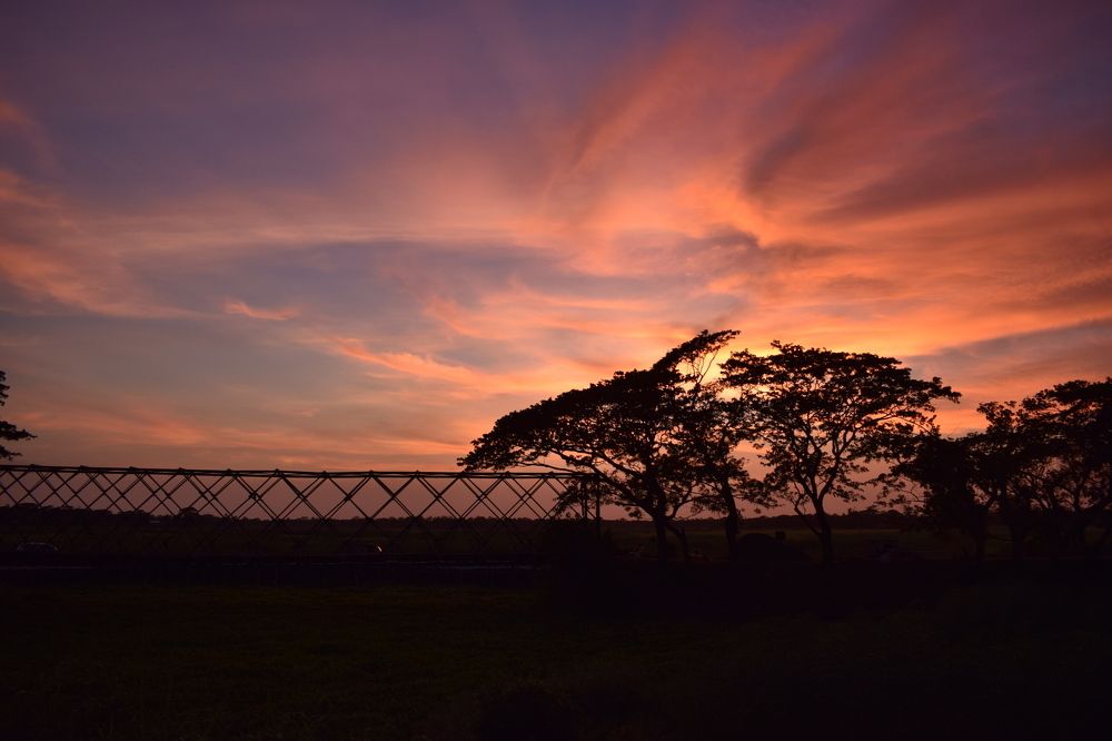 sunset