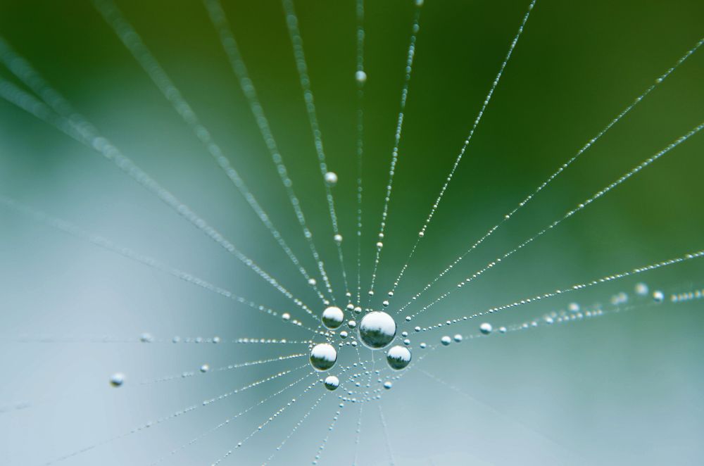 Мгновение лета