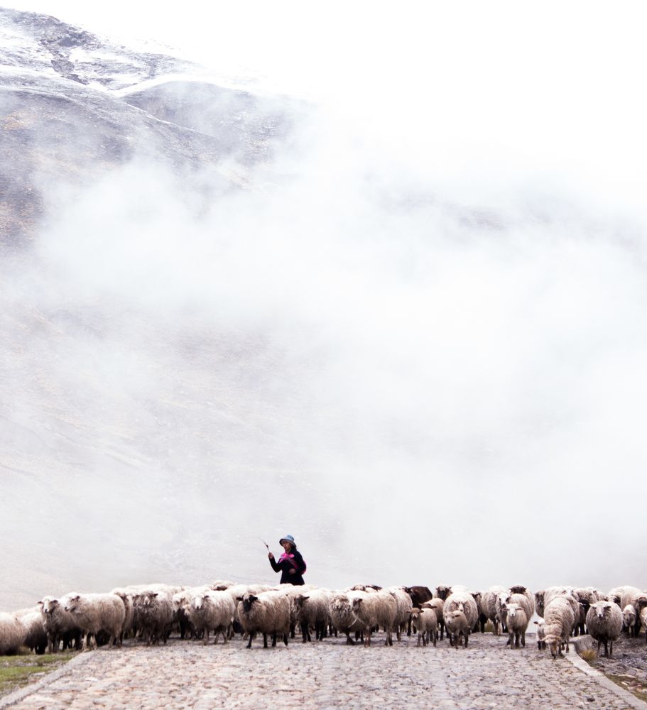 Madre cordillera