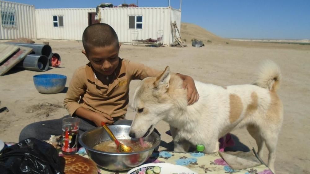 давай, ешь, пока нас не заругали...