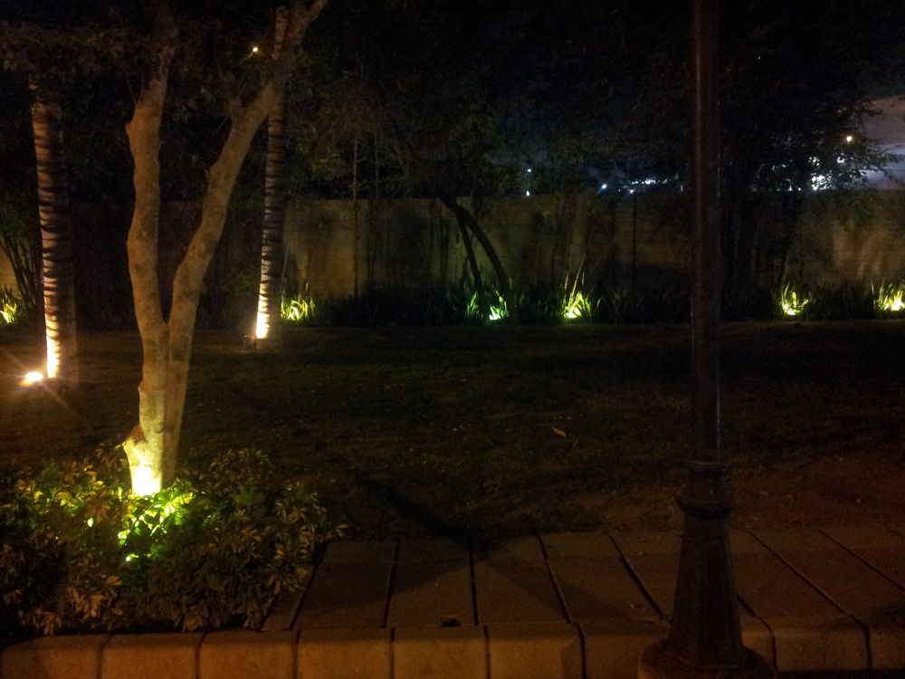 trees