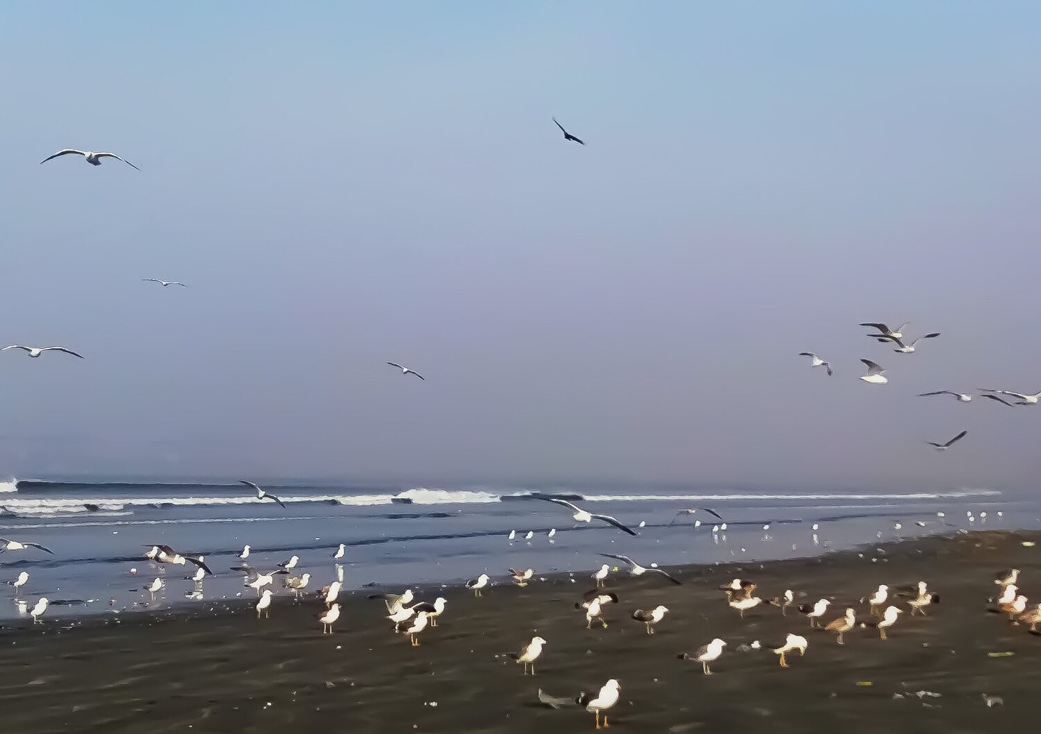 Wonders of Nature