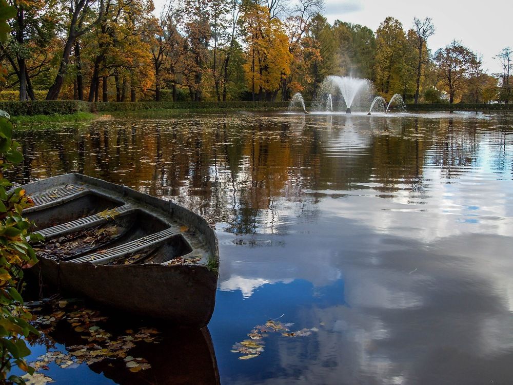 Photograph by Светлана