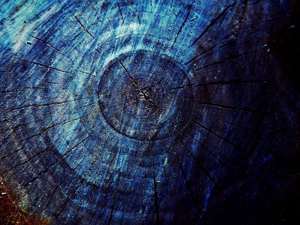 Photograph by Стефанова Татьяна