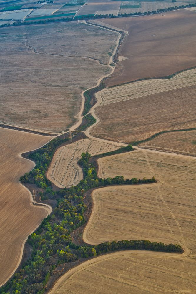 One flew over the cuckoo's nest