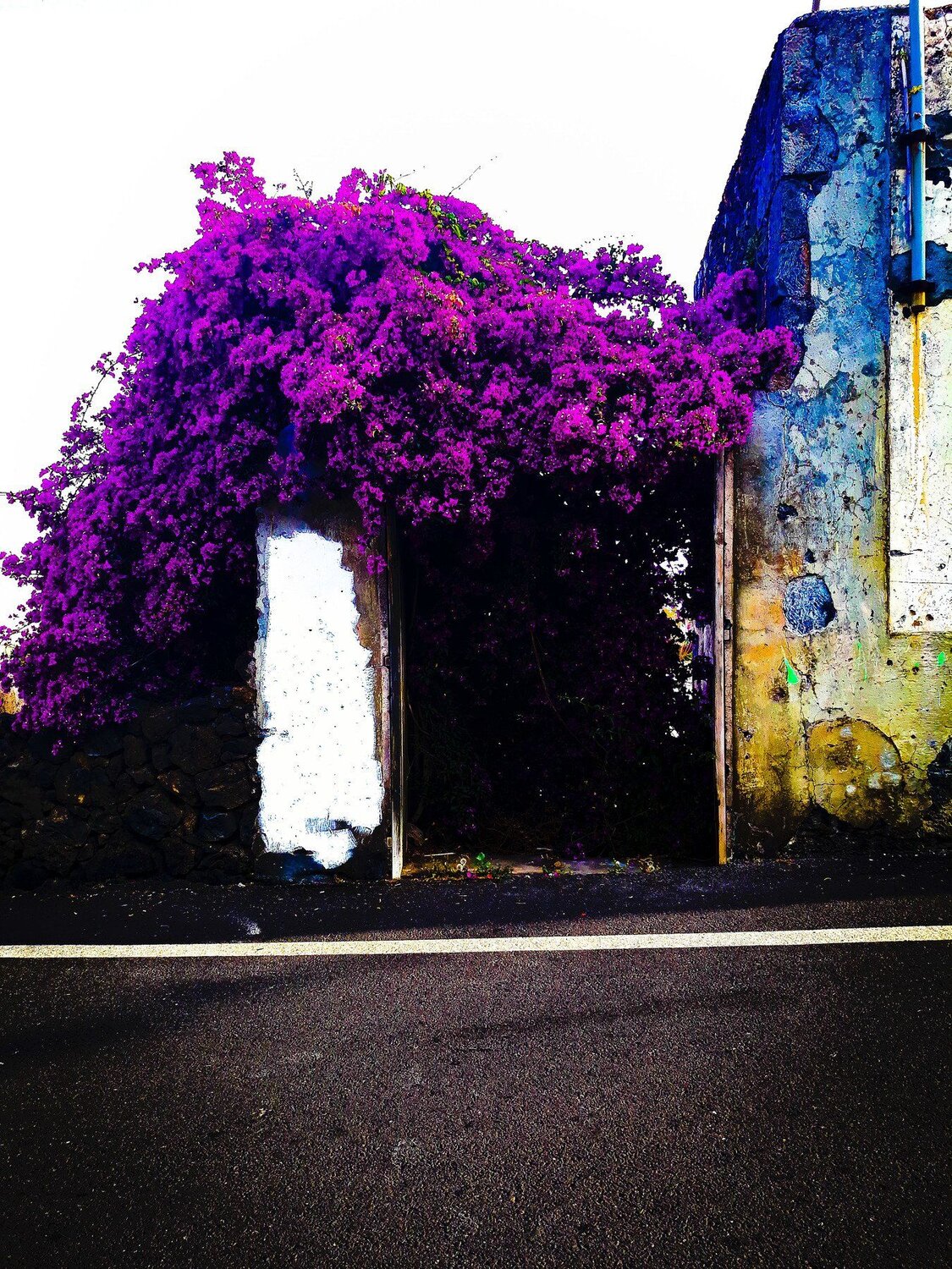 ColorPlay