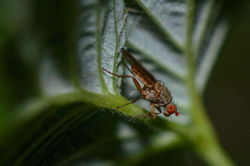 Photograph by Владимир Янчук