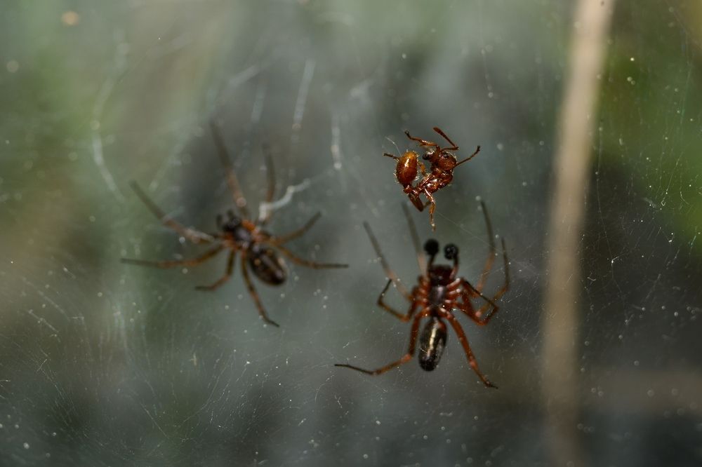 Photograph by Владимир Янчук