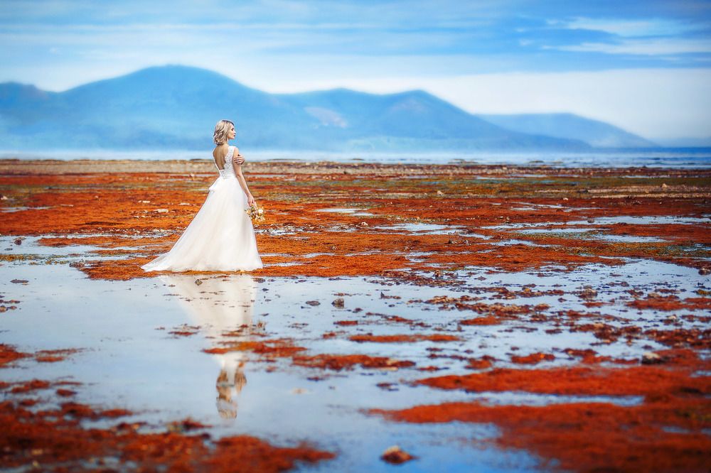 Photograph by Татьяна Петросьян