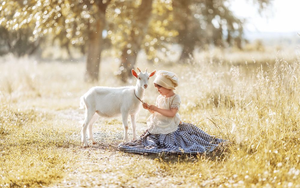 Деревенские зарисовки