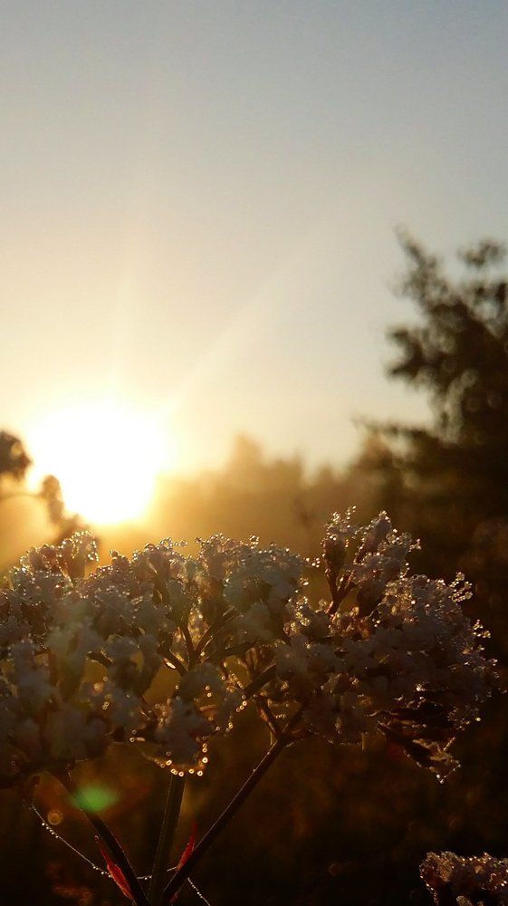 восход солнца в Подмосковье