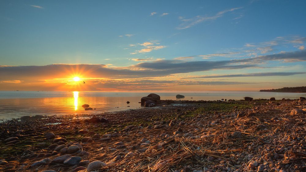 Рассвет на берегу Финского залива.