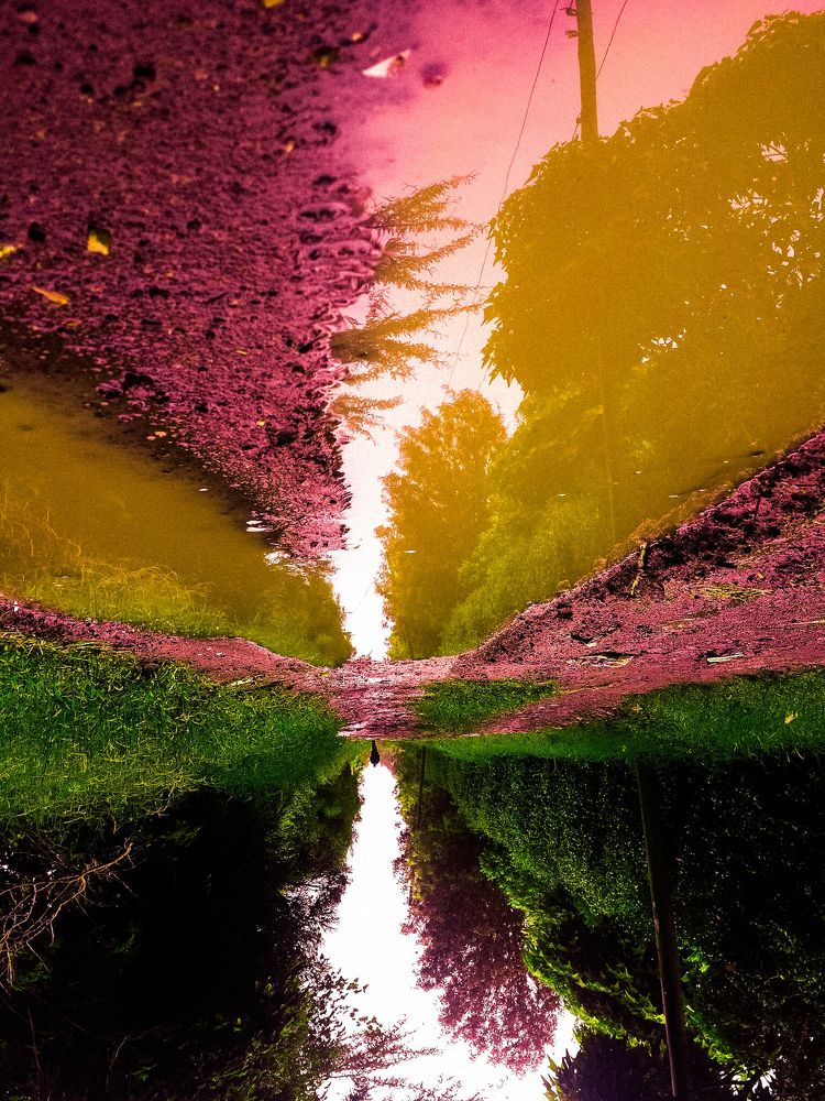 Nature