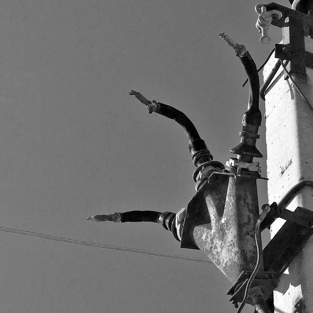 Когтистая лапа