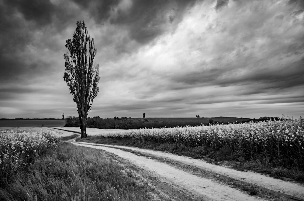 Dirt road