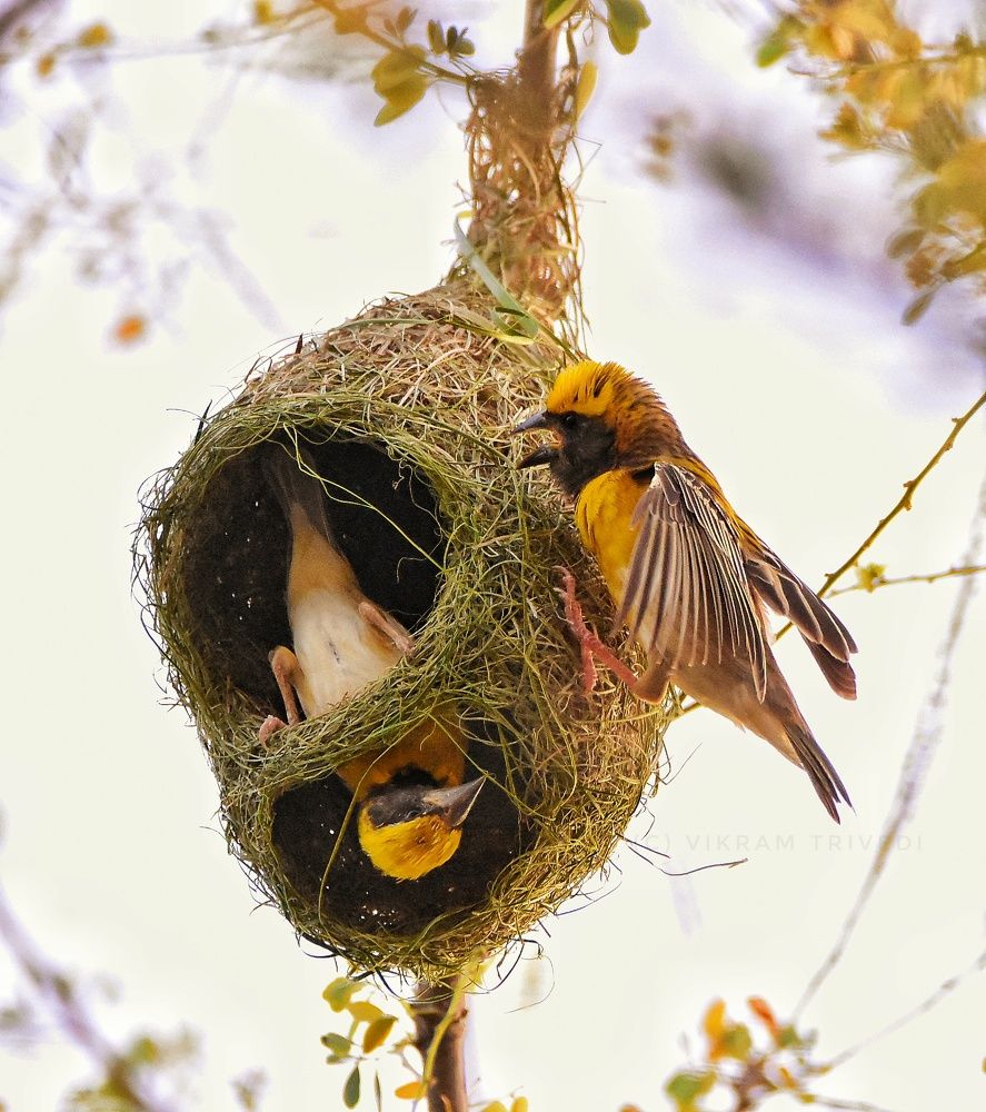 Hiiiiii, how are you doing