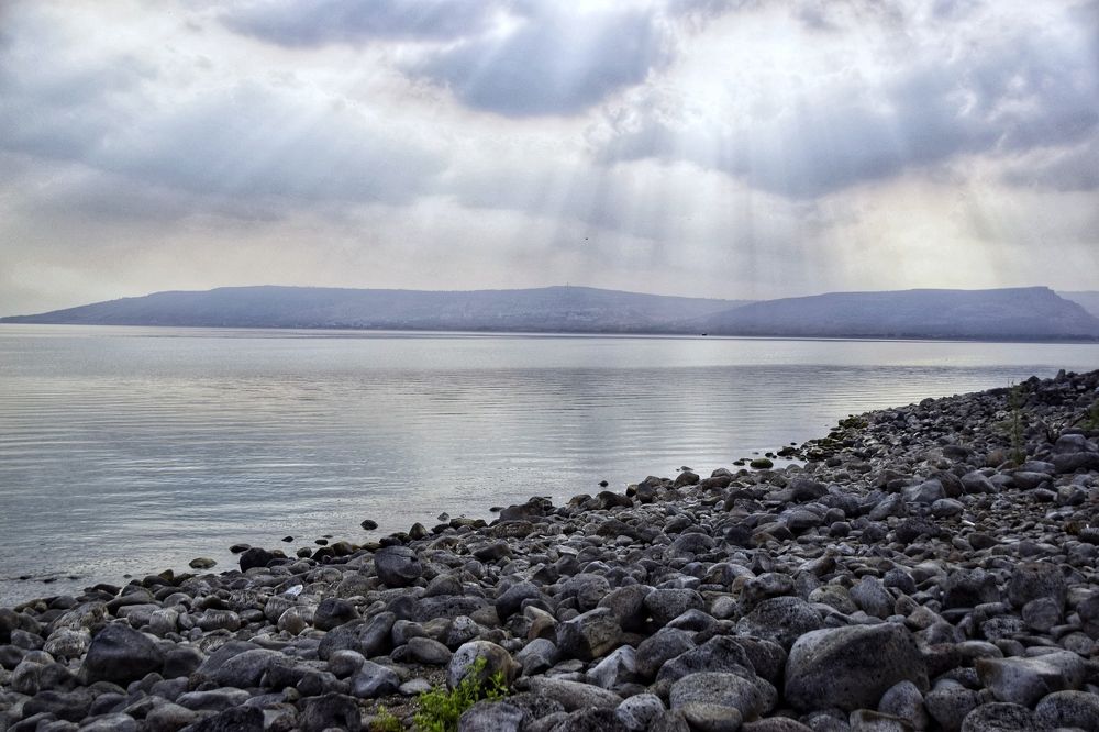 Photograph by Юля Курдова