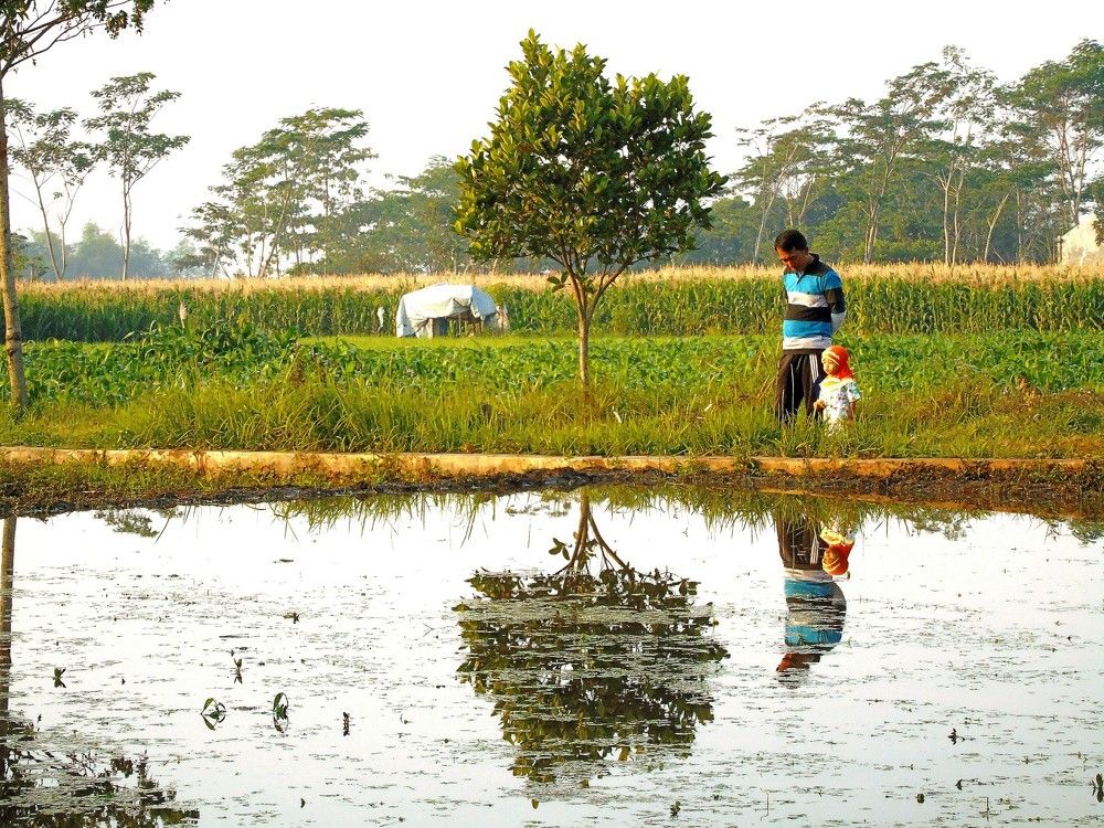 Somewhere in the Morning