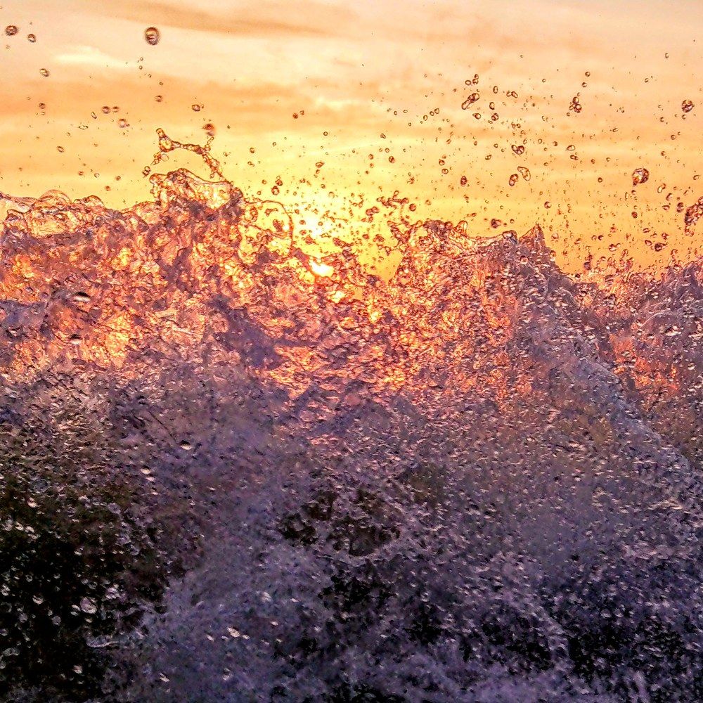 Брызги Балтики