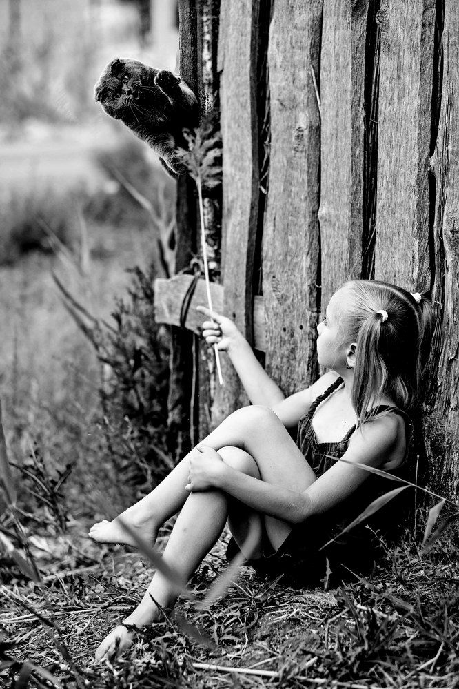 игры с котом