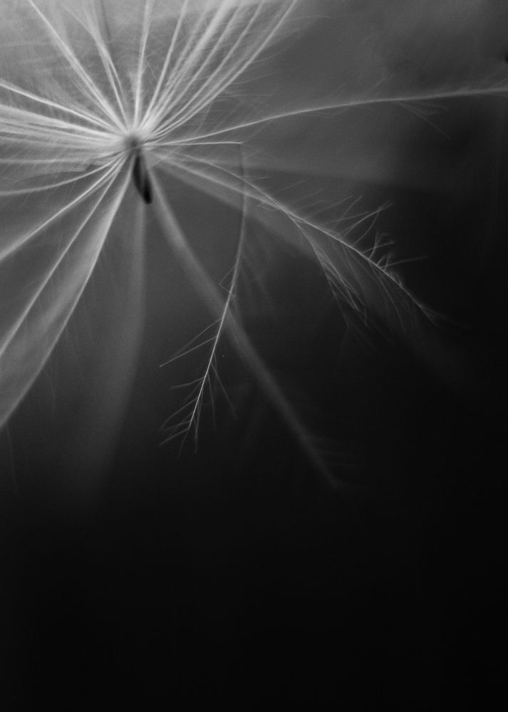 Photograph by Наталья Путято