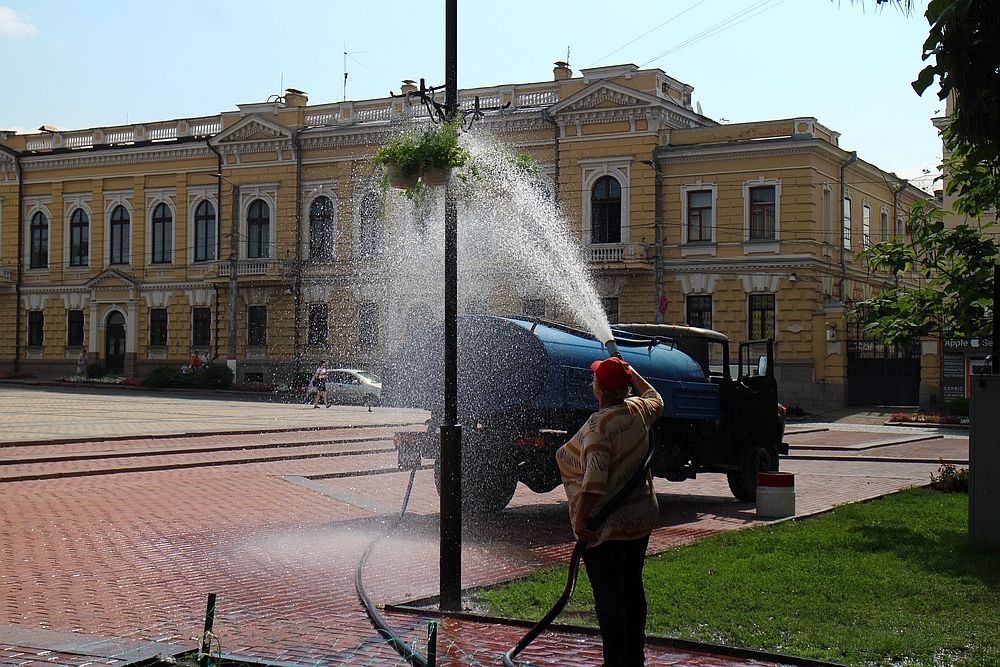 Дождик для цвет ов