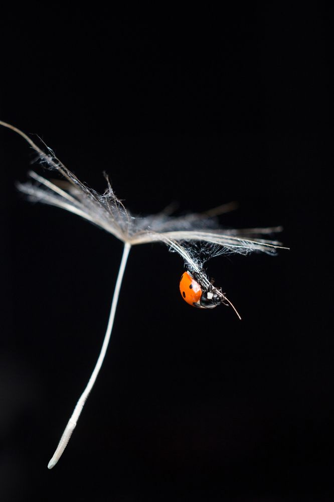 Спасите, помогите!