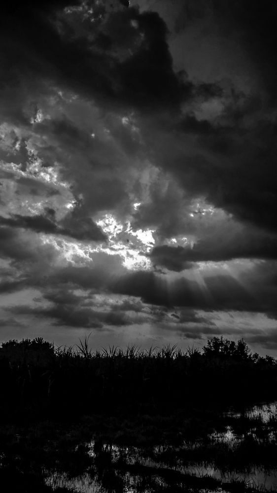 RAYS FROM HEAVEN