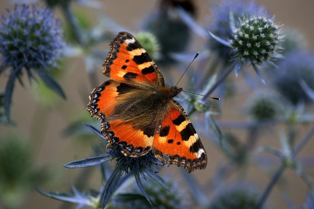 Photograph by Yroslava Veretina