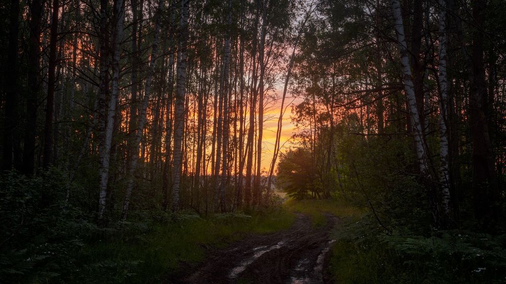 Photograph by Михаил Кушнер