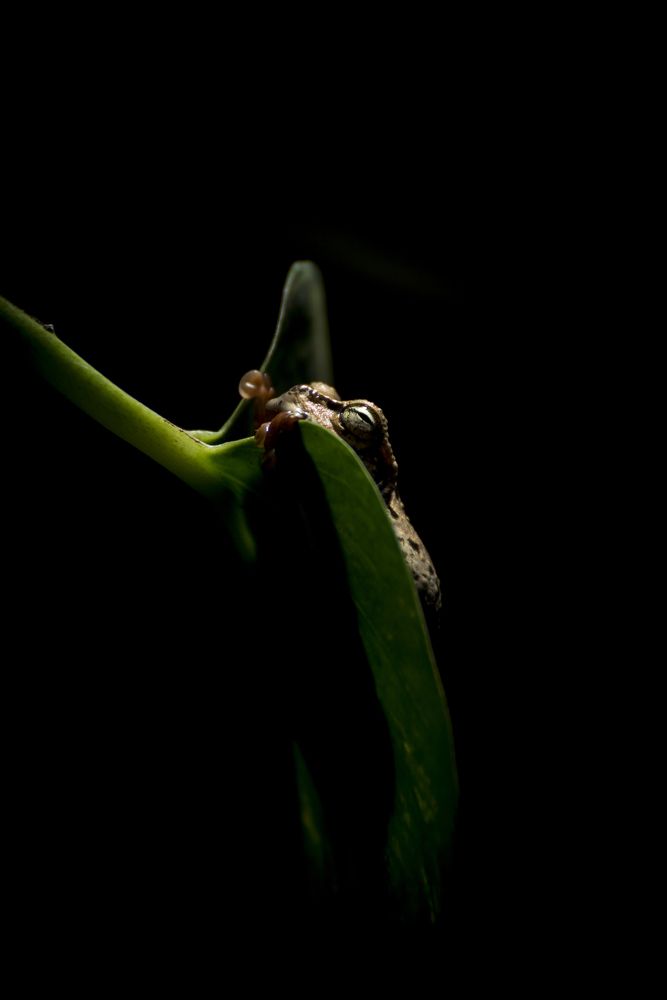 Esperanza en la Oscuridad