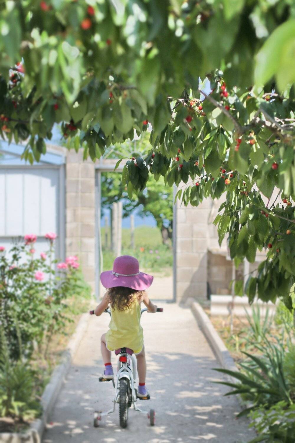 на прогулку