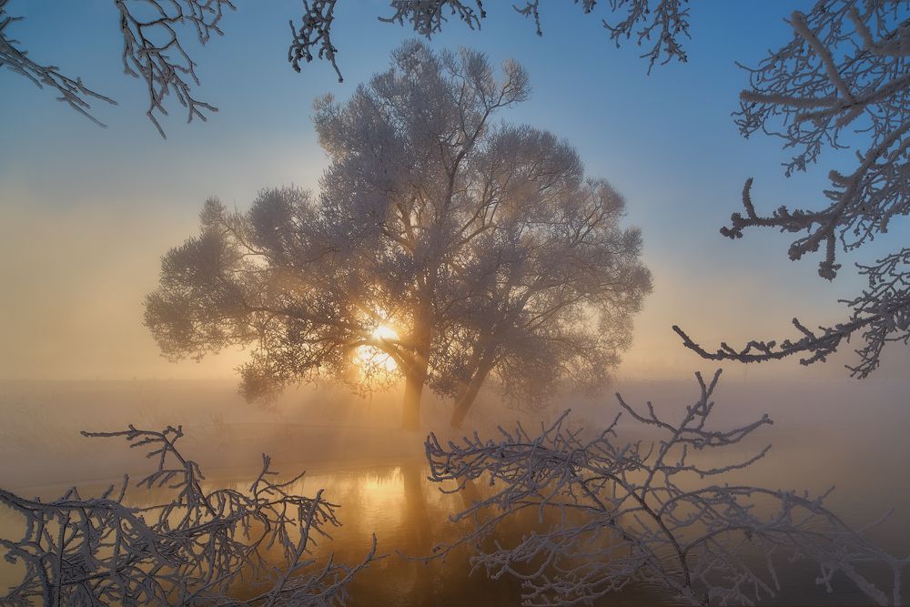 В объятьях утренней прохлады.